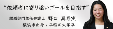 弁護士野口真寿実,のぐちますみ,神奈川県弁護士会所属